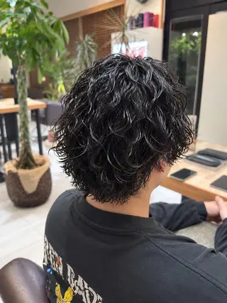 ショート パーマ メンズ 伊勢崎/nap hair 秋山拓未のヘアスタイル