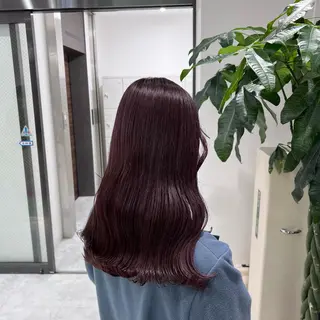 セミロング 🫧レイヤーカット ・ハッシュ🫧龍星のヘアスタイル