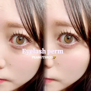 マツエク・マツパ Ren♡韓国風まつ毛 ┋LED┋パリエクのマツエク・マツパデザイン