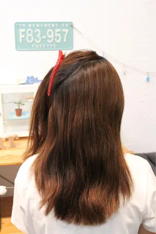 セミロング 田口 信雄のヘアスタイル