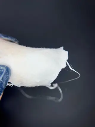 JAM新大宮 eyelashのマツエク・マツパデザイン