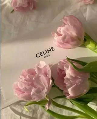 Himmel  / CHISATO🎀の眉毛・アイブロウイメージ