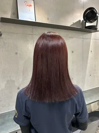 セミロング カラー ヘアアレンジ ボブ艶モテカラー🫧 カリンのヘアスタイル