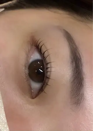マツエク・マツパ 相澤 夢蘭🌻のマツエク・マツパデザイン
