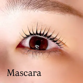 マツエク・マツパ Pupu lash ‪ ꪔ̤のマツエク・マツパデザイン
