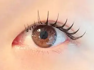 マツエク・マツパ Lash-bar kanoaのエステ・リラクイメージ