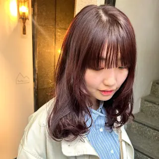 ミディアム カラー ショート/ウルフ ハイトーン/カイセイのヘアスタイル