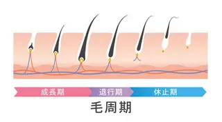 マツエク・マツパ eyelash presh yukaのマツエク・マツパデザイン