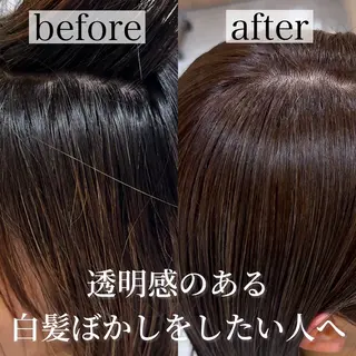 ショート 井上 一青 /ショート/ボブのヘアスタイル