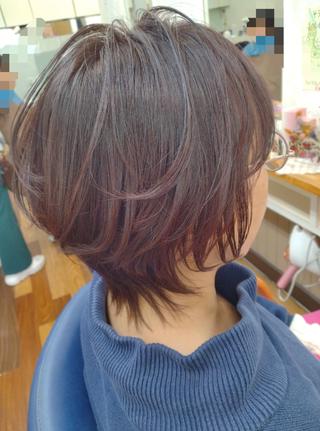 ショート 森長 咲子のヘアスタイル
