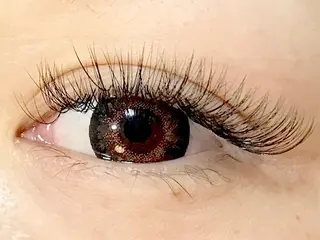 マツエク・マツパ LATTE eyelashのマツエク・マツパデザイン