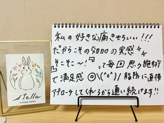 stella都度払い 痩身小顔まつげパーマのマツエク・マツパデザイン