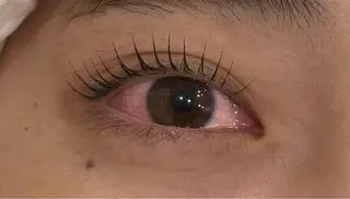 マツエク・マツパ Daisy Lash 土師のマツエク・マツパデザイン