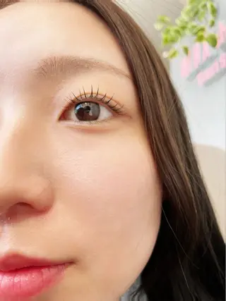 マツエク・マツパ MINX eye トシジマ ユキのマツエク・マツパデザイン