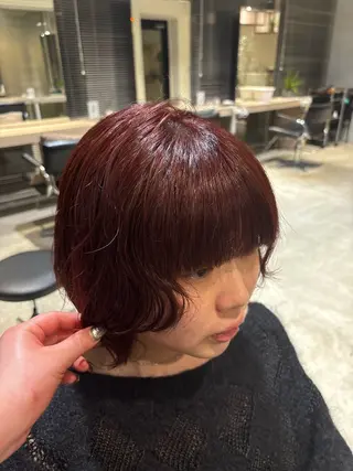 ショート カラー SHEA /縮毛矯正 イソダハルカのヘアスタイル
