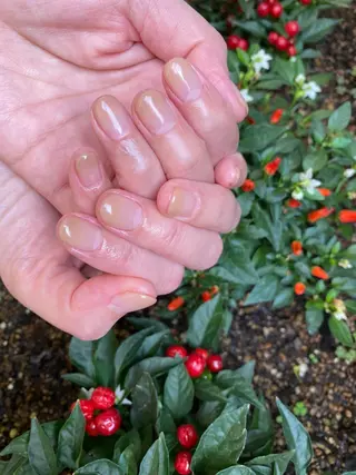 ネイル nailsalon ∞ ﾐｶﾅﾙ ∞のネイルデザイン