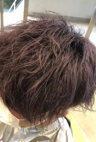 ショート カラー メンズ ✂︎斉藤 健介✂︎のヘアスタイル