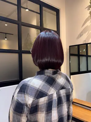 ショート カラー 🪽MiYU🪽 艶カラー⁎⁺˳✧のヘアスタイル