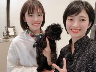 ショート カラー パーマ ヘアアレンジ ちこ .のヘアスタイル