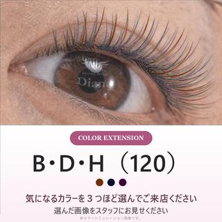 マツエク・マツパ ディアナ ひたちなか高場店仲田のマツエク・マツパデザイン