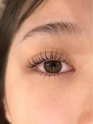 マツエク・マツパ ニコットラッシュ 難波加藤の眉毛・アイブロウイメージ