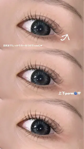 マツエク・マツパ RocoLush🍯 HINATA౨ৎ⋆ෆのマツエク・マツパデザイン
