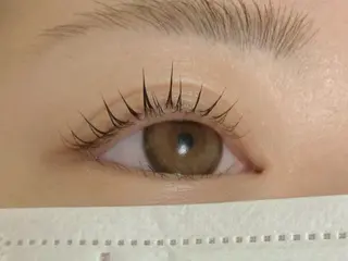 マツエク・マツパ TOTALSALON Rihwaのマツエク・マツパデザイン
