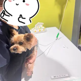 ネイル U eのネイルデザイン