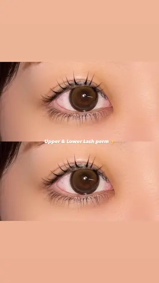 マツエク・マツパ Ayumi.dre 🐹H〈2階〉のマツエク・マツパデザイン