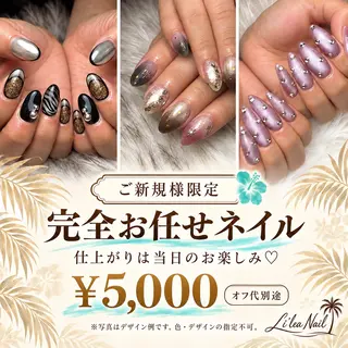 ネイル Li'leaNail AINAのネイルデザイン