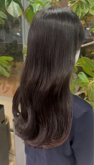 カラー 🐈‍⬛JUMI /透明感カラー/🩶のヘアスタイル