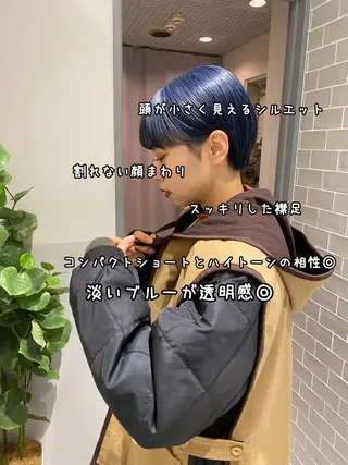 ショート カラー 白髪ぼかし/ショート /ミニボブだいじのヘアスタイル