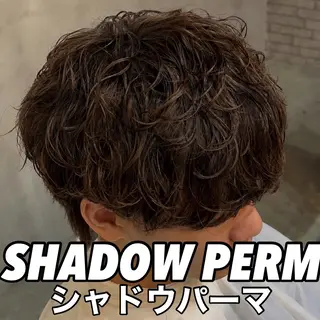 ショート パーマ メンズ シャドウパーマ 小形のヘアスタイル