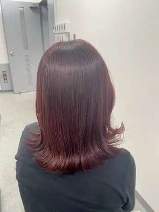 ミディアム カラー ヘアアレンジ 縮毛矯正🤍 ボブ/ HIKARIのヘアスタイル