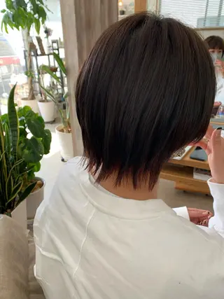 ショート カラー 新保 佳世のヘアスタイル