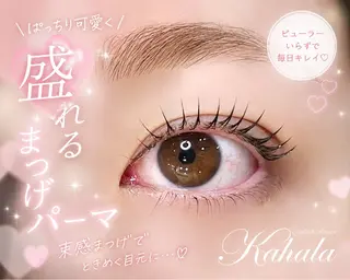 マツエク・マツパ Fujimoto 🦭⸝⋆꙳のマツエク・マツパデザイン