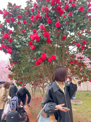 ミディアム 板垣 來夢のヘアスタイル