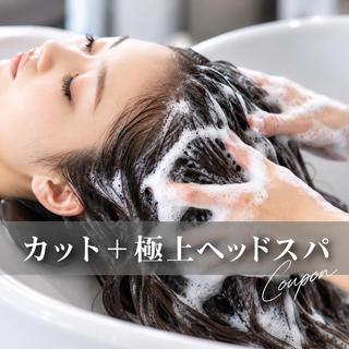 SOURCE堺東🫧 ヘアケア/艶カラーのヘアスタイル
