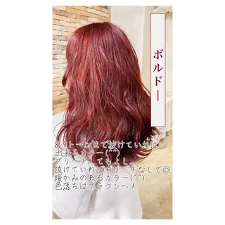 カラー ✨ブリーチなしカラー ×髪質改善✨松村 潤のヘアスタイル