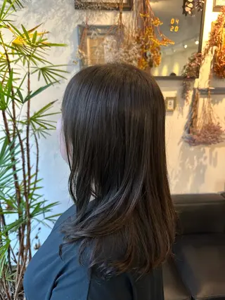 セミロング カラー 💜推しインナー カラー/菊池柊真💜のヘアスタイル