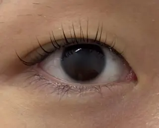 マツエク・マツパ pluseye✩.* ᴍ ɪ ᴋ ᴜのマツエク・マツパデザイン