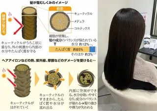 セミロング シェアハピ 隼人のヘアスタイル