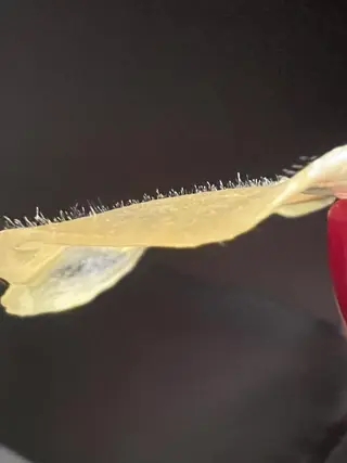 艶肌wax®︎ shocoのエステ・リラクイメージ