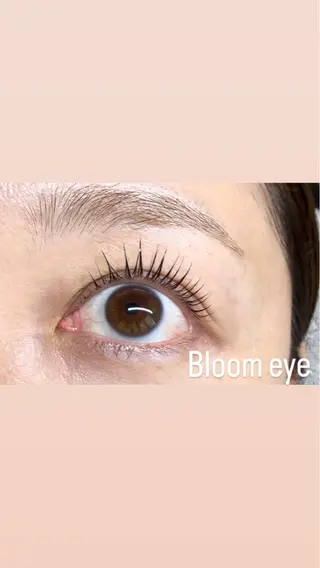マツエク・マツパ Bloom eye 豊中 北緑丘の眉毛・アイブロウイメージ