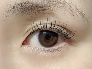 マツエク・マツパ 🔰Eye Risの眉毛・アイブロウイメージ