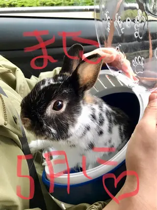 ❤️予約殺到❤️mi オールハンド痩身専門のエステ・リラクイメージ