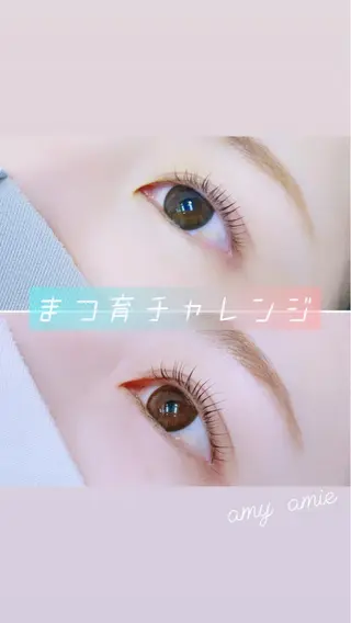 マツエク・マツパ amy amie 上村のマツエク・マツパデザイン