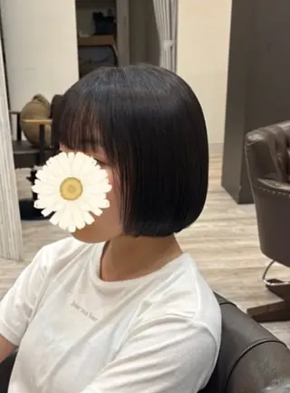 ショート 加藤 優子のヘアスタイル
