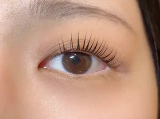 マツエク・マツパ nicottlash 難波店 駒井の眉毛・アイブロウイメージ