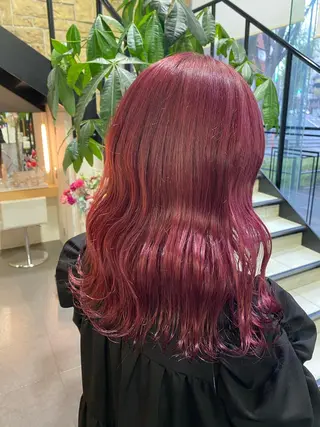 セミロング カラー ヘアアレンジ TSUNA 🌙 Lim 五反田のマツエク・マツパデザイン